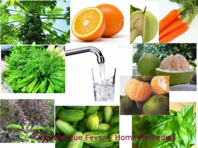 Home Remedies For Dengue Home Remedies For Dengue