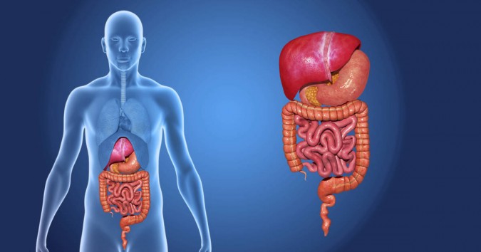 How to improve digestive system naturally