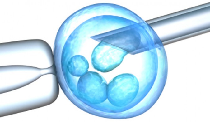 Healthy IVF Pregnancy with Dr.Praful Doshi in Surat Healthy IVF Pregnancy with Dr.Praful Doshi in Surat