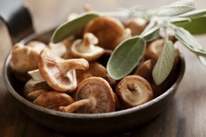Health Benefits of Mushrooms Health Benefits of Mushrooms