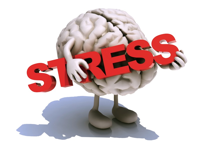 Stress: Its causes and effects