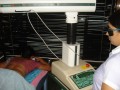 Dr. Rajul Roy